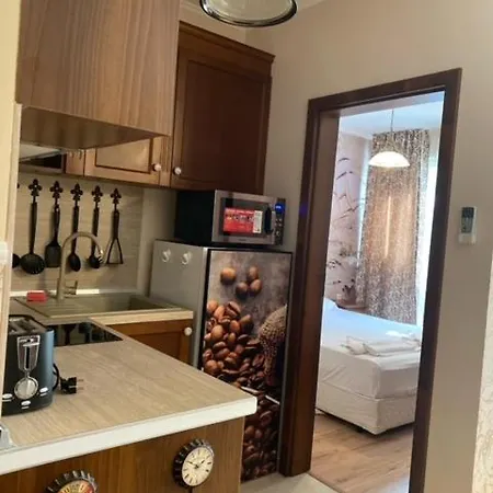 アパートホテル Dawn Park Deluxe サニービーチ